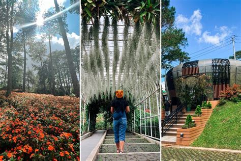 De beste resorts in de buurt van Baguio Botanical Garden, .